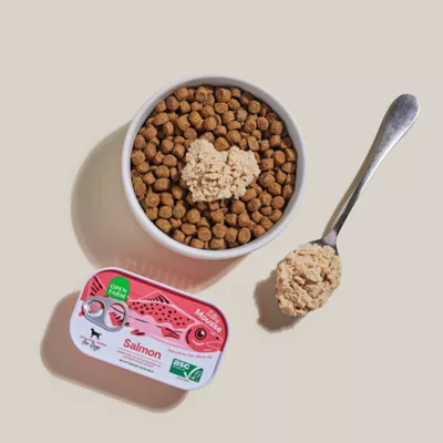 Open Farm Adult Wet Dog Food Topper - Silky Mousse, 4.59 oz - Image 4