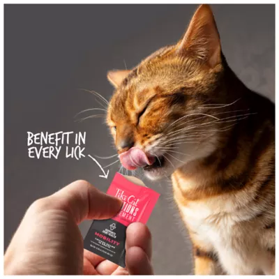Tiki Cat Solutions Supplements Cat Treats - Mobility, 8 Count - Image 6