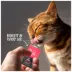Tiki Cat Solutions Supplements Cat Treats - Mobility, 8 Count image thumbnail 6