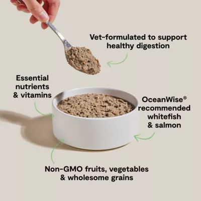 Open Farm Digestive Health Adult Wet Dog Food - Veterinarian Formulated, Pate, 12.5 oz - Image 3