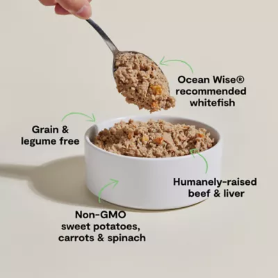 Open Farm Adult Wet Dog Food - Humanely Raised & Sustainably Sourced, Pate, 12.5 oz - Image 3