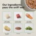 Open Farm Adult Wet Dog Food - Humanely Raised & Sustainably Sourced, Pate, 12.5 oz image thumbnail 6