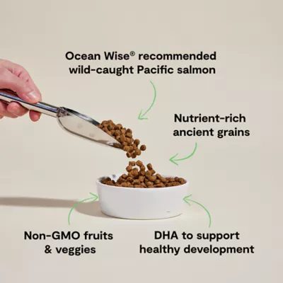 Open Farm With Grain Puppy Dry Dog Food - Humanely Raised & Sustainably Sourced, Salmon - Image 3