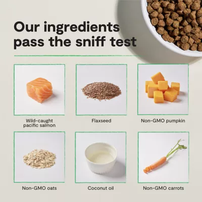 Open Farm With Grain Puppy Dry Dog Food - Humanely Raised & Sustainably Sourced, Salmon - Image 6