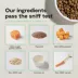 Open Farm With Grain Puppy Dry Dog Food - Humanely Raised & Sustainably Sourced, Salmon image thumbnail 6