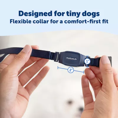 PetSafe Dog NanoBark 2.0 Bark Collar, for Small Dogs, Lightweight, Adjustable 4-15" Neck, in Blue - Image 4
