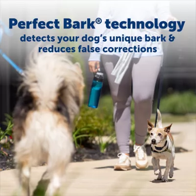 PetSafe Dog NanoBark 2.0 Bark Collar, for Small Dogs, Lightweight, Adjustable 4-15" Neck, in Blue - Image 6