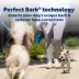 PetSafe Dog NanoBark 2.0 Bark Collar, for Small Dogs, Lightweight, Adjustable 4-15" Neck, in Blue image thumbnail 6
