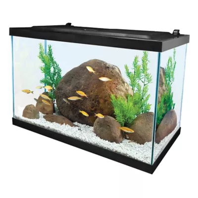 Tetra® Open Glass Aquarium - Image 2