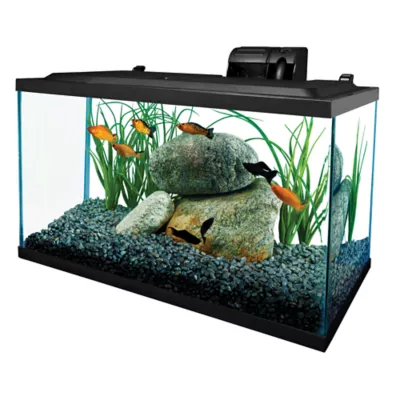Tetra® Glass Aquarium - Image 2