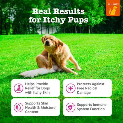 Zesty Paws Itch Relief Bites, Dog Soft Chew Immune Supplement for Skin Health, Chicken Flavor, 90ct - Image 2