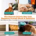 Zesty Paws Cat Calming Diffuser Refill, Calmness & Relaxation, Orchid Mist Scent, 1-fl oz bottle image thumbnail 3