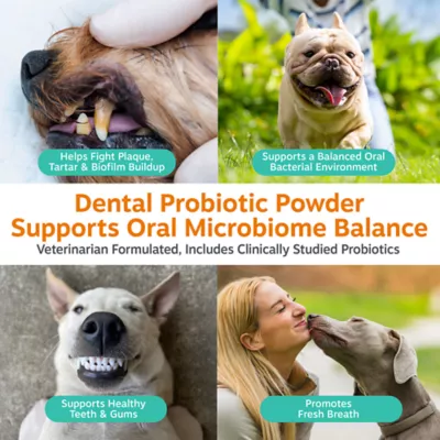 Zesty Paws Dog Dental Probiotic Powder Supplement, Fight Plaque & Tartar, Bacon, 3.17oz - Image 3