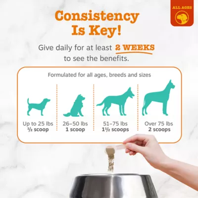 Zesty Paws Dog Dental Probiotic Powder Supplement, Fight Plaque & Tartar, Bacon, 3.17oz - Image 5