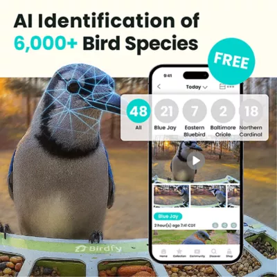 Product Birdft Smart Metal Feeder