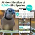 Birdfy Smart Feeder Metal with Lifetime AI image thumbnail 4