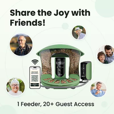 Product Birdfy Smart Feeder 2