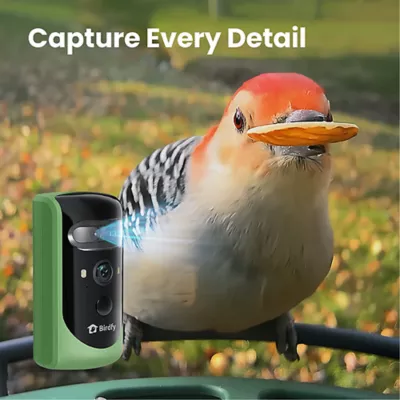Product Birdfy Smart Feeder 2 PRO