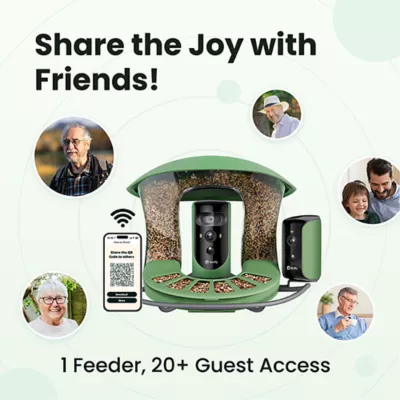 Product Birdfy Smart Feeder 2 PRO