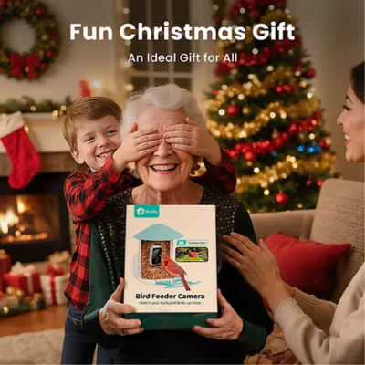 Product Birdfy Smart Feeder Solar Powered