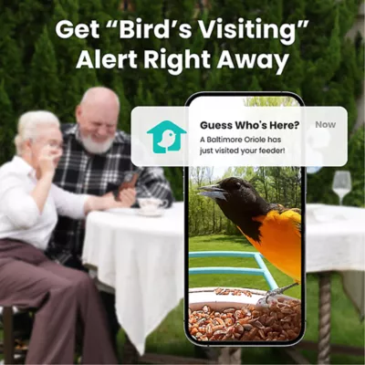 Product Birdfy Smart Feeder