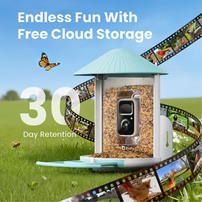 Product Birdfy Smart Feeder