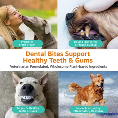 Zesty Paws Clean Breath Bites Dog Dental Supplement, Supports Healthy Teeth, Peppermint, 120 Ct - Image 3