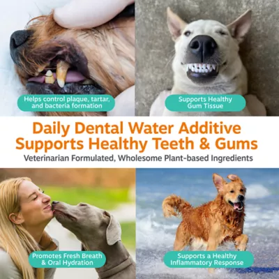 Zesty Paws Dog Daily Dental Water Additive, Healthy Gums & Fresh Breath, Chicken Flavor, 8 fl oz - Image 3