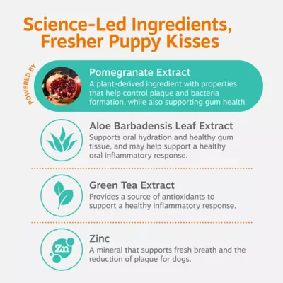 Zesty Paws Dog Daily Dental Water Additive, Healthy Gums & Fresh Breath, Chicken Flavor, 8 fl oz - Image 4