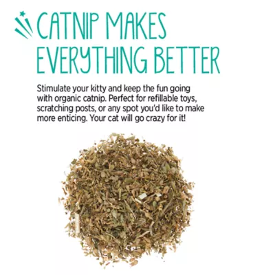 Whisker City® Organic Catnip - Image 4