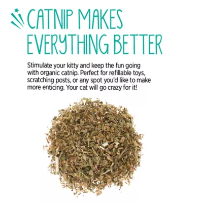 Whisker City® Organic Catnip - Image 4