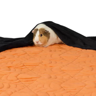 Thrills & Chills® Small Pet Fleece Liner - Image 1