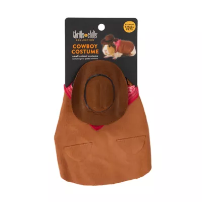 Thrills & Chills® Small Pet Cowboy Costume - Image 4