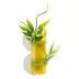 Zoo Med Creatures® Bamboo With Leaves Reptile Décor image thumbnail 2