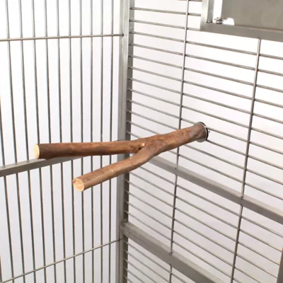 A&E Forked Natural Wood Perch - Image 4