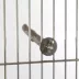 A&E 16 in. Natural Wood Perch image thumbnail 4