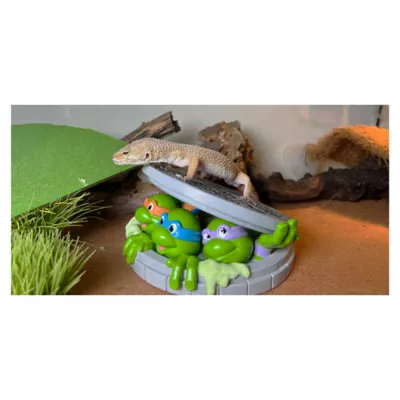 TMNT Turtles Emerging from Sewer Terrarium Ornament - Image 4