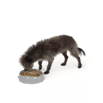 Top Paw® Puzzle Slow Feeder Dog Bowl, Grey, Holds 3 Cups - Image 6