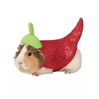 Thrills & Chills® Small Pet Chili Pepper Costume - Image 1