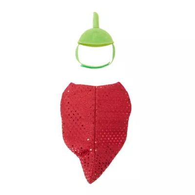 Thrills & Chills® Small Pet Chili Pepper Costume - Image 2