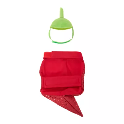 Thrills & Chills® Small Pet Chili Pepper Costume - Image 3