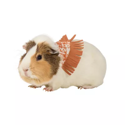 Thrills & Chills® Small Pet Fringe Bandana - Image 1