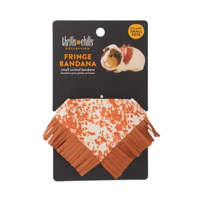 Thrills & Chills® Small Pet Fringe Bandana - Image 4