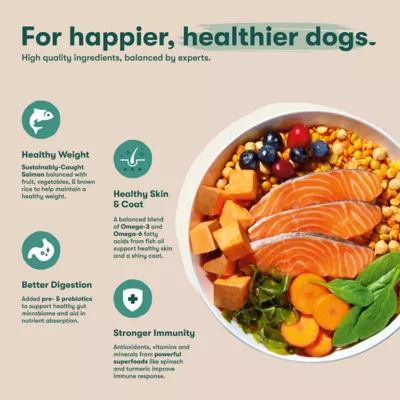 Jinx Small Breed All Life Stage Dry Dog Food - Salmon, Sweet Potato & Carrots - Image 4