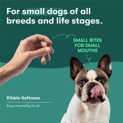 Jinx Small Breed All Life Stage Dry Dog Food - Salmon, Sweet Potato & Carrots - Image 5