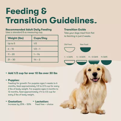 Jinx Small Breed All Life Stage Dry Dog Food - Salmon, Sweet Potato & Carrots - Image 10