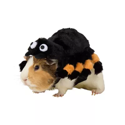 Thrills & Chills® Small Pet Spider Costume - Image 1