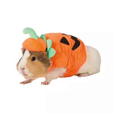 Thrills & Chills® Small Pet Pumpkin Costume - Image 1