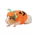 Thrills & Chills® Small Pet Pumpkin Costume image thumbnail 1