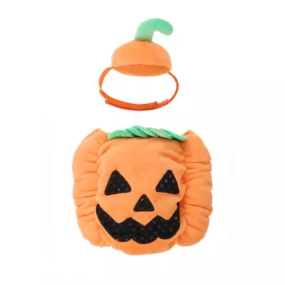 Thrills & Chills® Small Pet Pumpkin Costume - Image 2